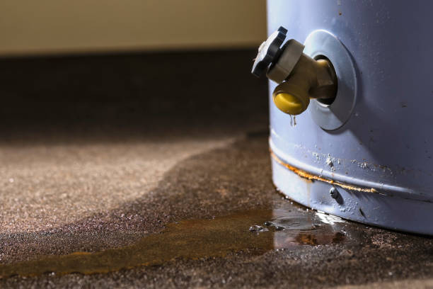Best Carpet water damage restoration  in Brigantine, NJ