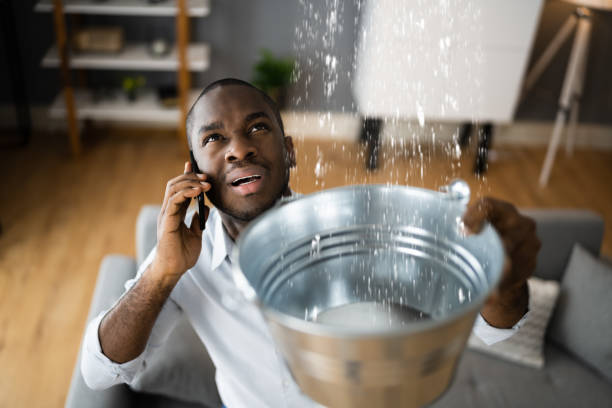 Best Basement water damage restoration  in Brigantine, NJ