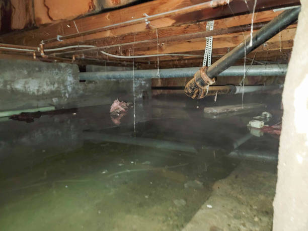 Best 24/7 water damage repair  in Brigantine, NJ