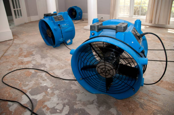 Best Residential water damage restoration  in Brigantine, NJ